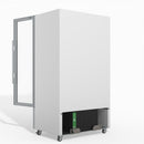 Skope 2 Glass Door Display or Storage Fridge - SKB900N-A