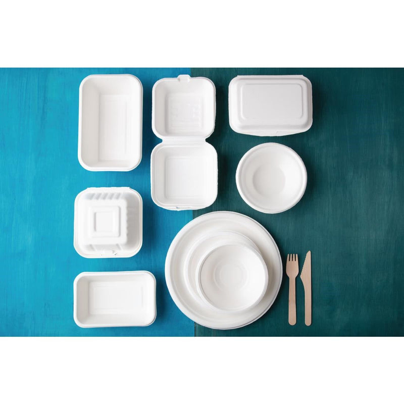 Fiesta Compostable Hinged Container 149mm DW246