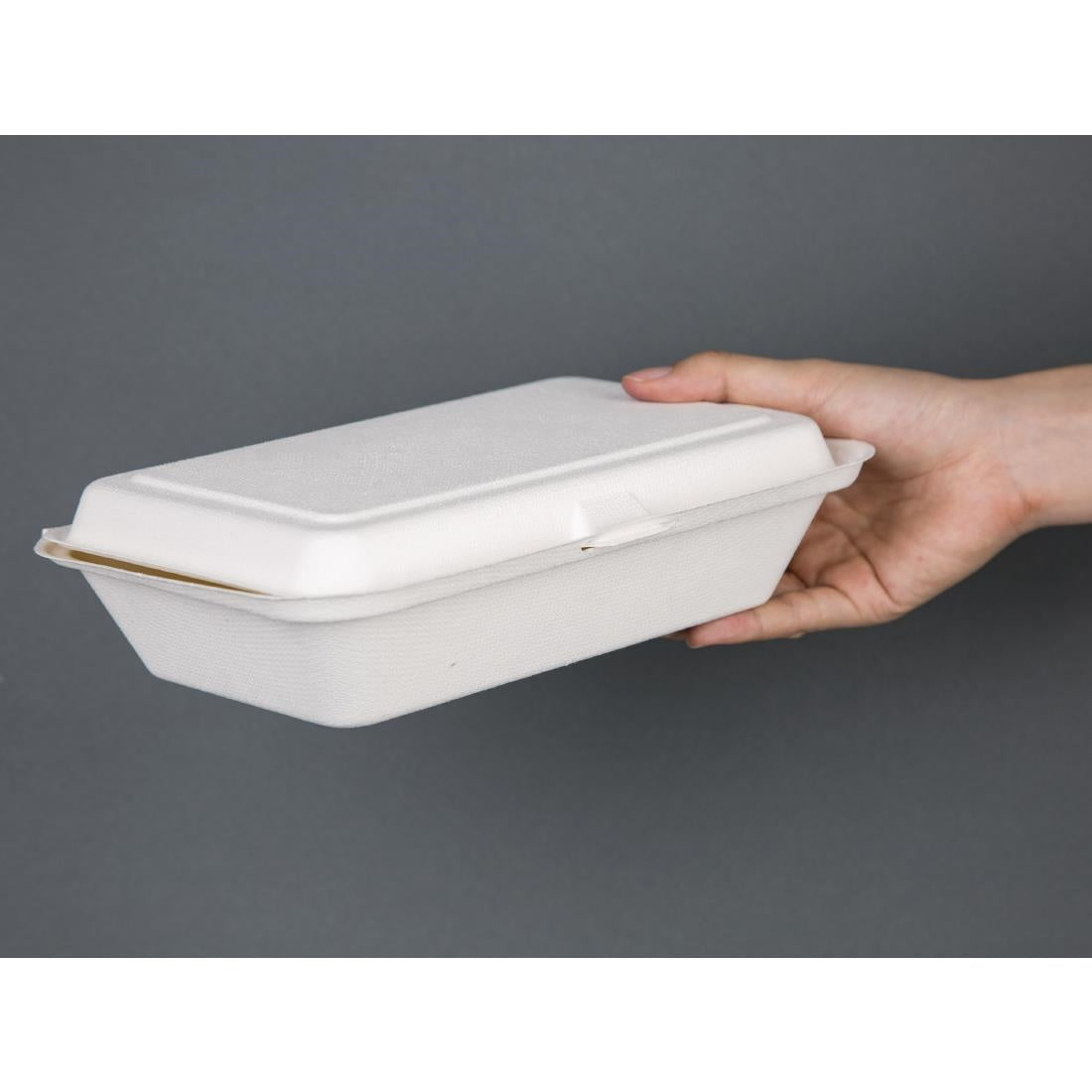 Fiesta Compostable Hinged Container 248mm (Pack of 250) DW249