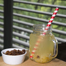 Fiesta Compostable Paper Smoothie Straws Red Stripes (Pack of 250) FB147