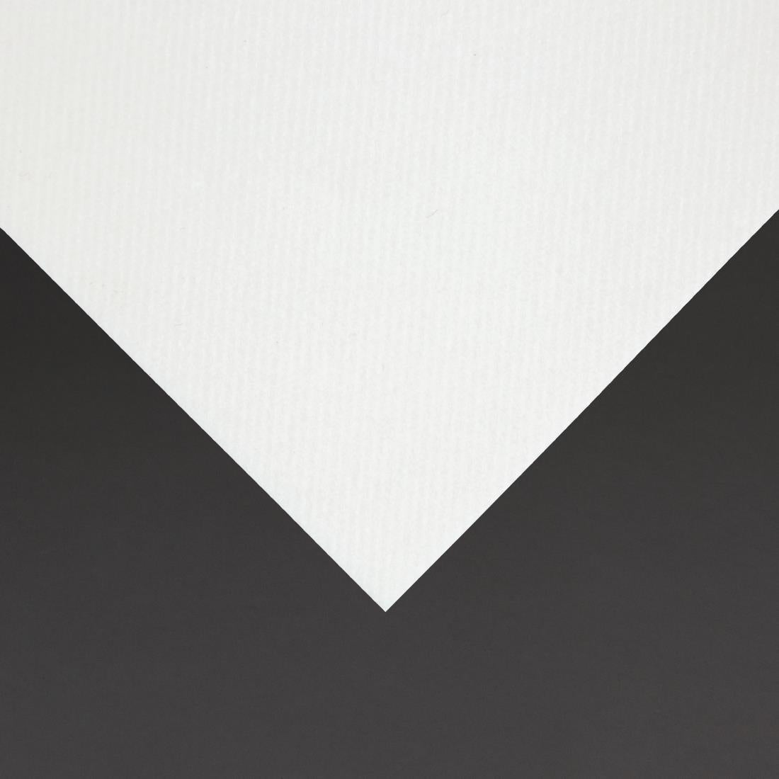 Fiesta Recyclable Premium Tablin Cocktail Napkin White 240x240mm Airlaid 1/4 Fold (Pack of 2400) FE262