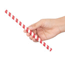 Fiesta Compostable Individually Wrapped Paper Smoothie Straws Red Stripes (Pack of 250) FP443