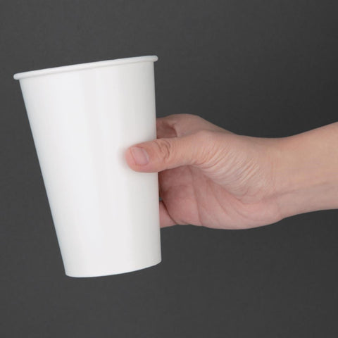 Fiesta Recyclable Cold Paper Cup 16oz 90mm (Pack of 1000) FP781