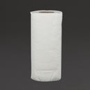 Jantex 2-Ply Paper Towel Roll (Pack of 24) GH065