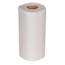 Jantex 2-Ply Paper Towel Roll (Pack of 24) GH065