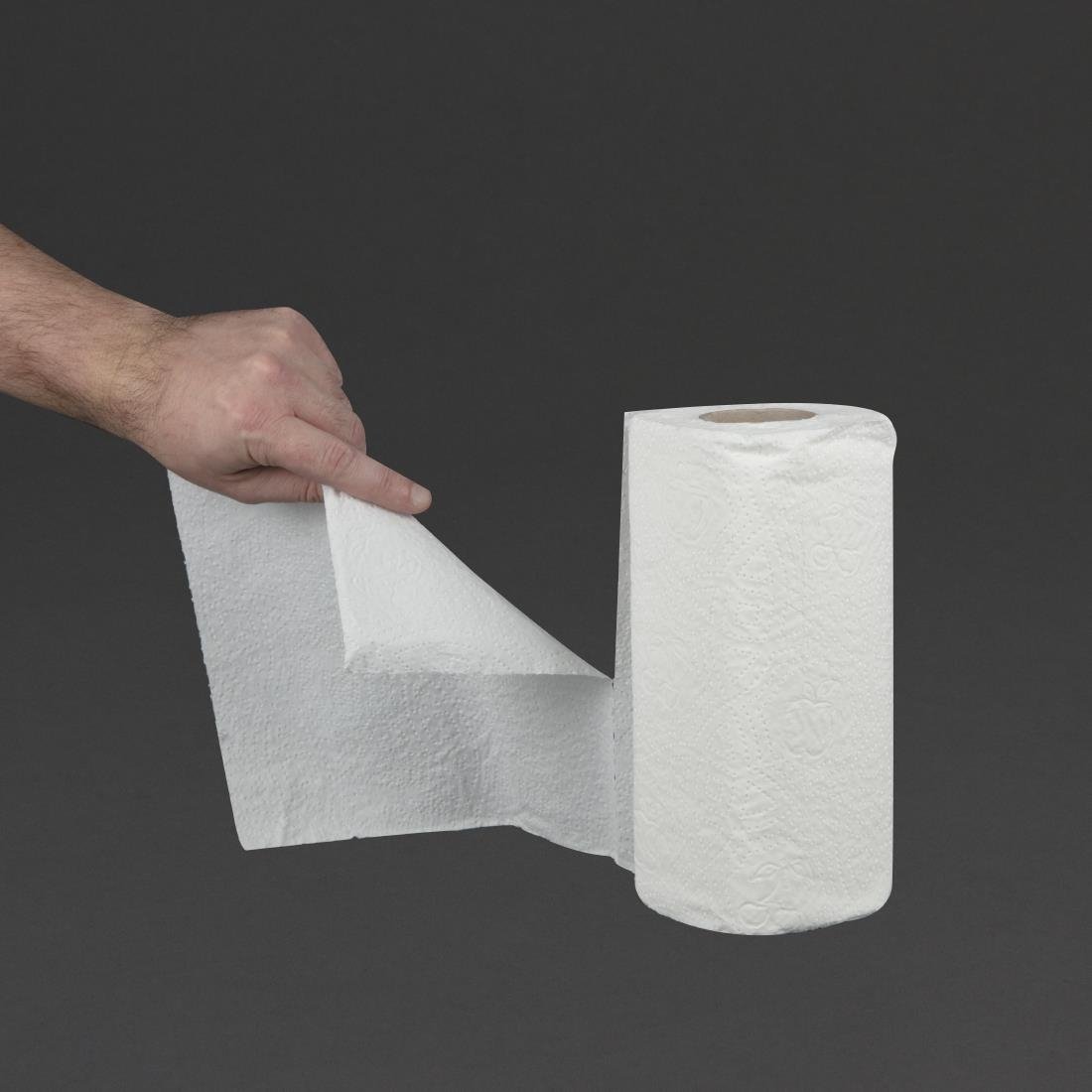 Jantex 2-Ply Paper Towel Roll (Pack of 24) GH065