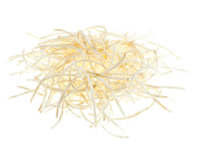 Dito Sama P4U Stainless Steel Shredding Disc 2 DS650209